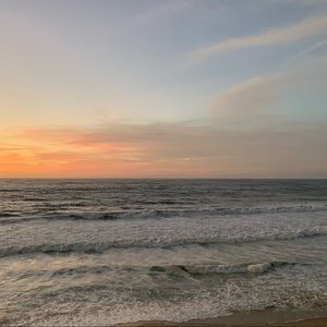 Meet your Posher, Missy